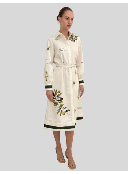 LONG SLEEVE DRESS WITH BELT: OLIVES: GREEN