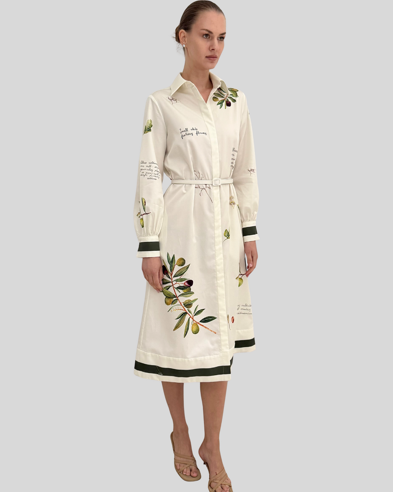LONG SLEEVE DRESS WITH BELT: OLIVES: GREEN
