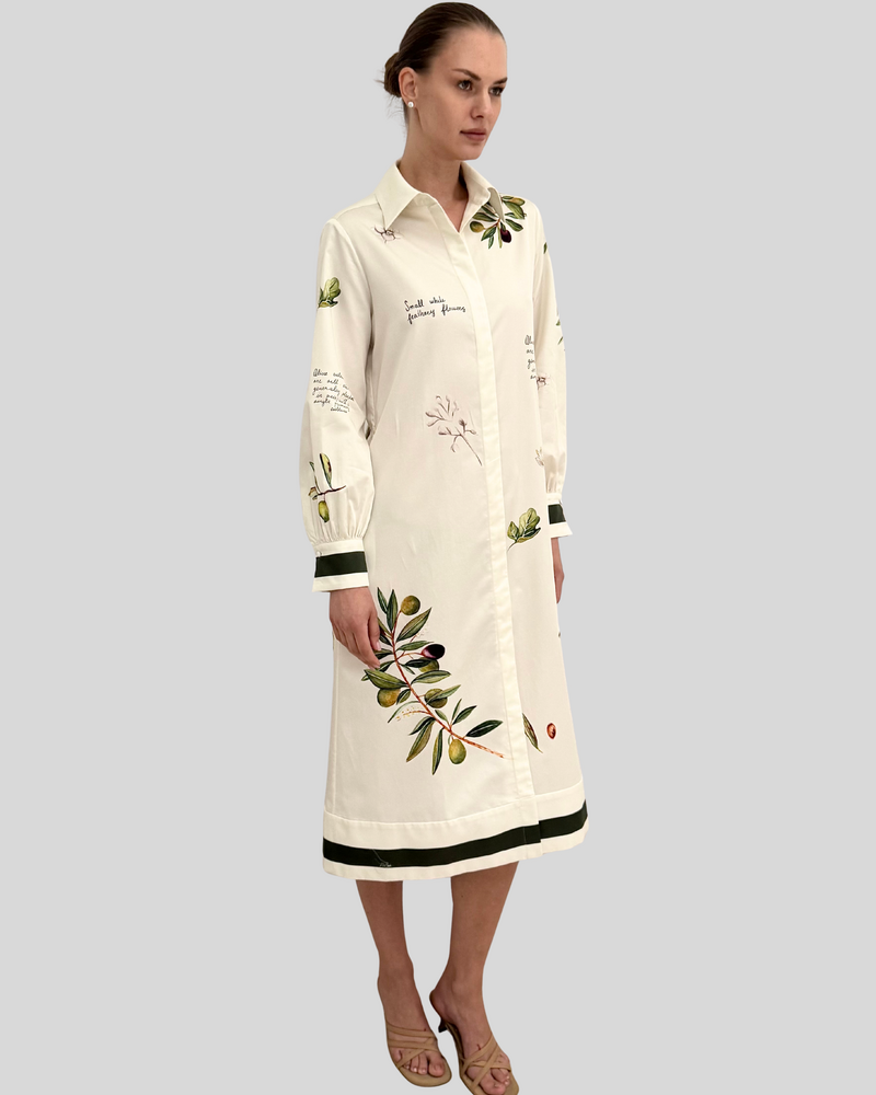 LONG SLEEVE DRESS WITH BELT: OLIVES: GREEN
