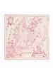 PRINTED CASHMERE SCARF: NEW YORK: PINK