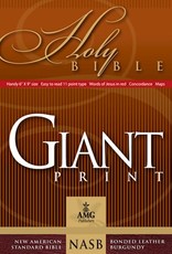 NASB Giant Print Handy-Size Bible