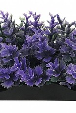 PENN-PLAX INC SMALL PURPLE BUNCH PLANT
