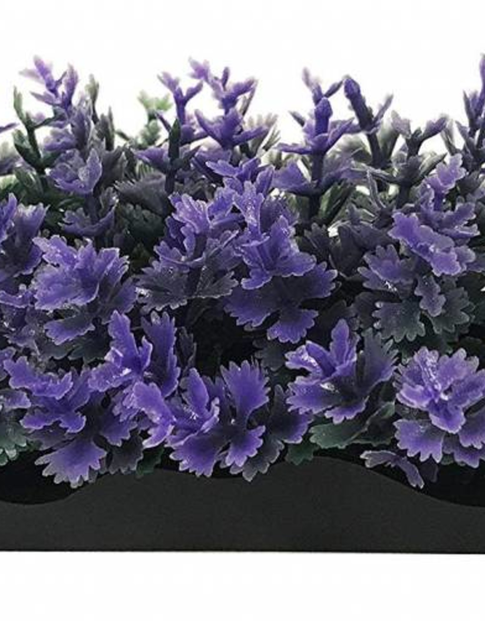 PENN-PLAX INC SMALL PURPLE BUNCH PLANT