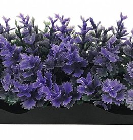 PENN-PLAX INC SMALL PURPLE BUNCH PLANT