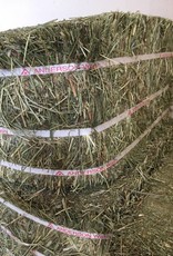 Anderson TIMOTHY HAY COMPRESSED BALES by Anderson