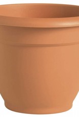 BLOEM Bloem Ariana Planter with Grid Terra Cotta 10in