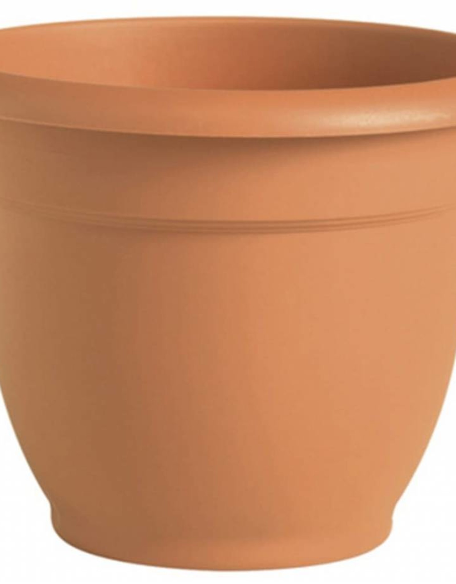 BLOEM Bloem Ariana Planter with Grid Terra Cotta 10in