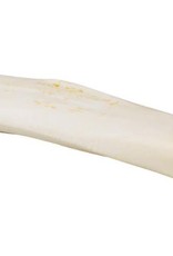 REDBARN PET PRODUCTS Red Barn BONE Cheese and Bacon Filled Large