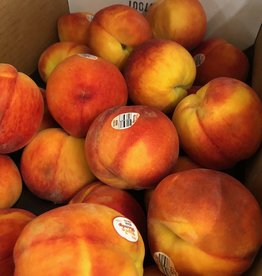 Peaches and Nectarines- Fresh fruit per tenth of lb