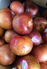 Plum fresh fruit per tenth of lb