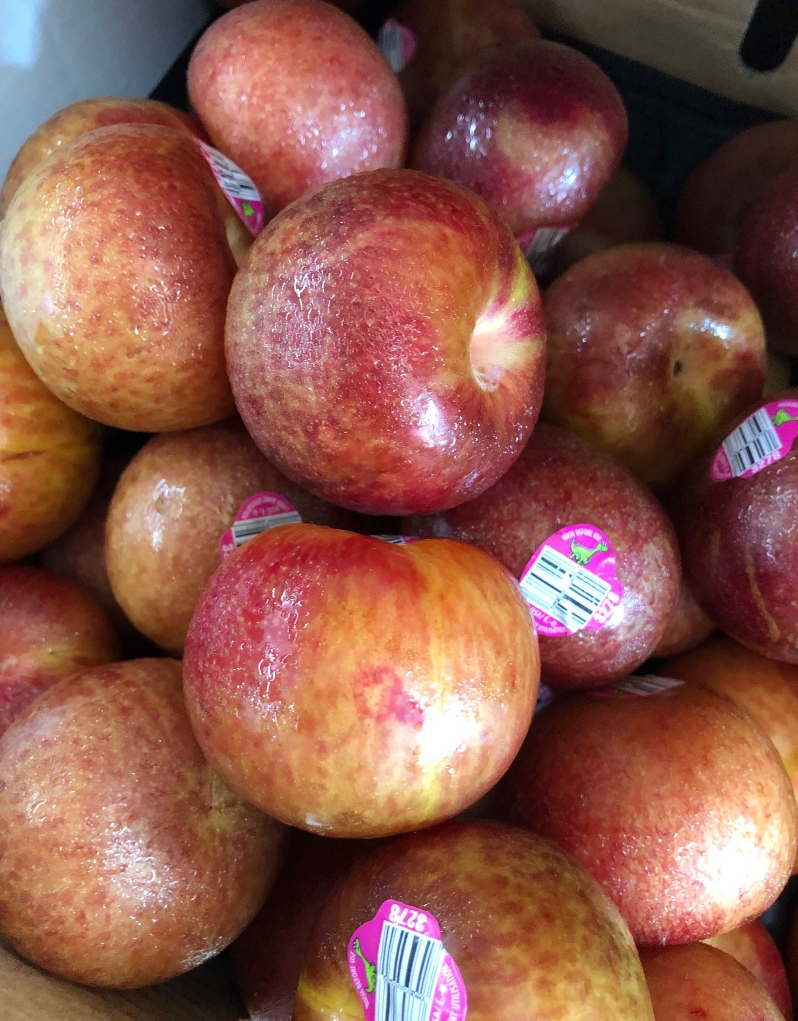Plum fresh fruit per tenth of lb