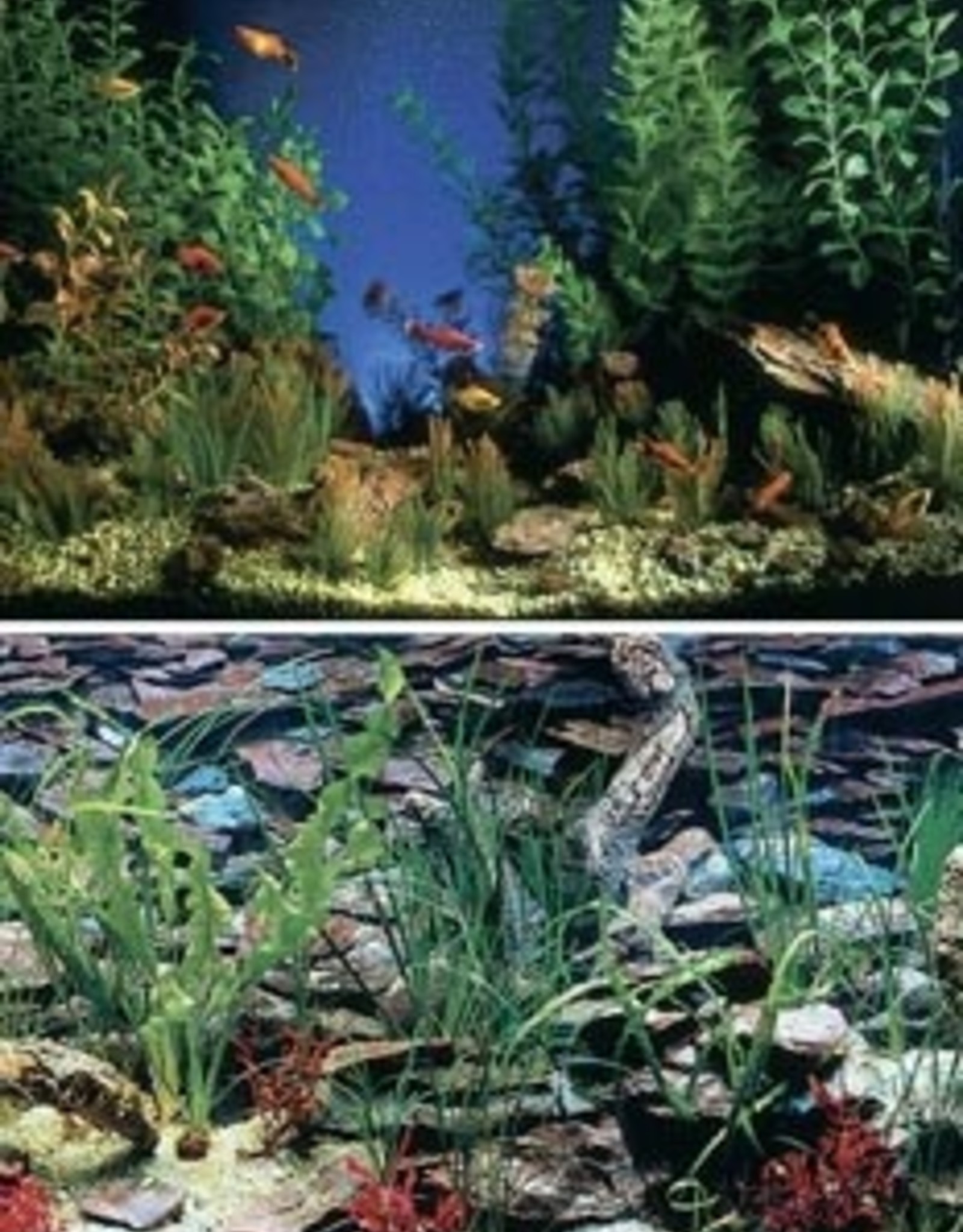Penn-Plax AQUARAMA/SHALESCAPE 19in tall-per inch Aquarium Backing