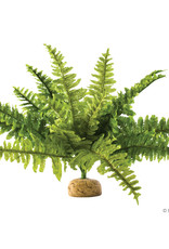 Hagen Exo Terra Boston Fern Terrarium Plant, Medium