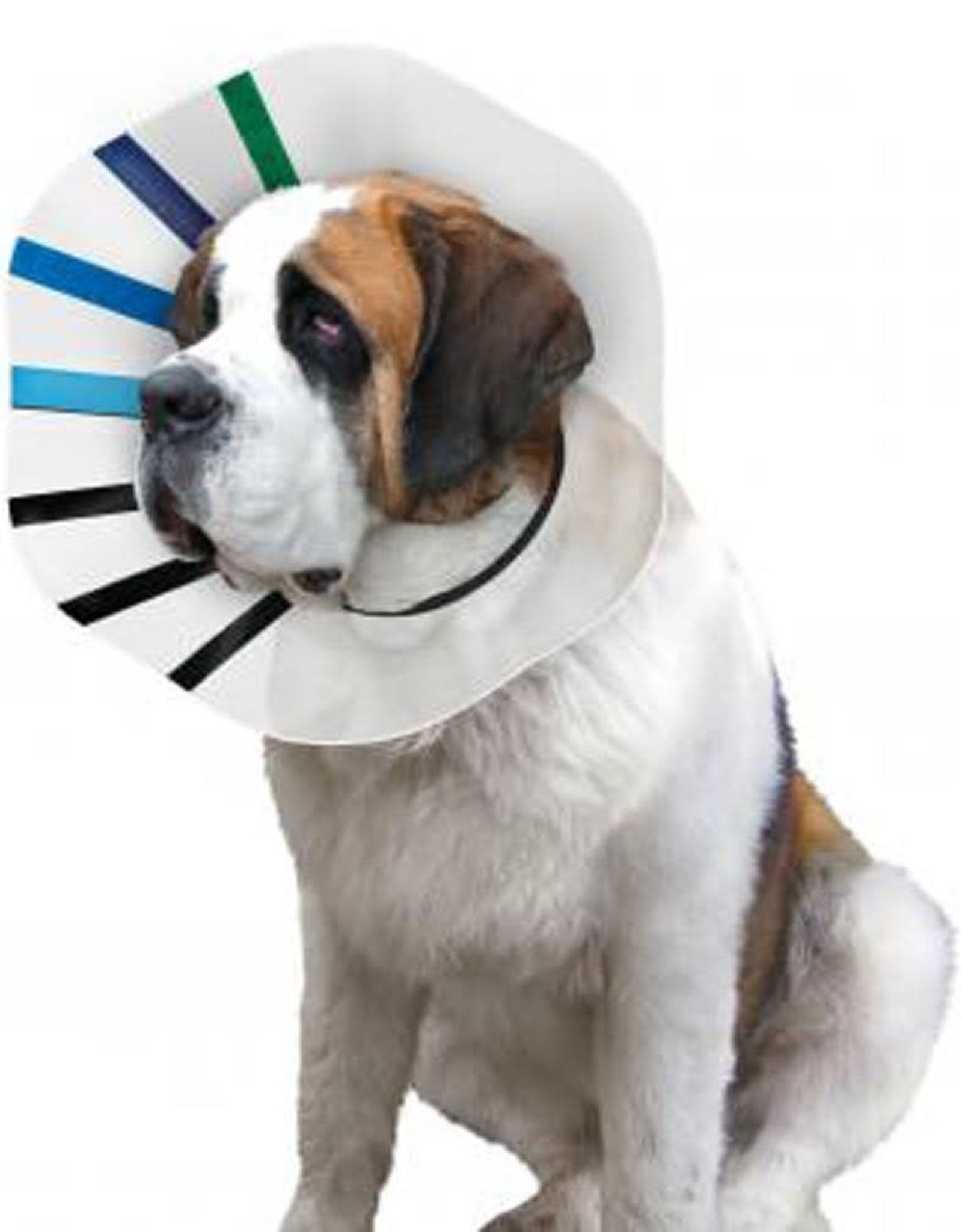 KONG COMPANY E Cone Collar Clear King Size Kong