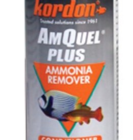 KORDON (NOVALEK/OASIS) Kordon AmQuel Plus Ammonia Remover Conditioner 4oz