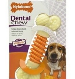 TFH Nylabone Proact dental chew Med