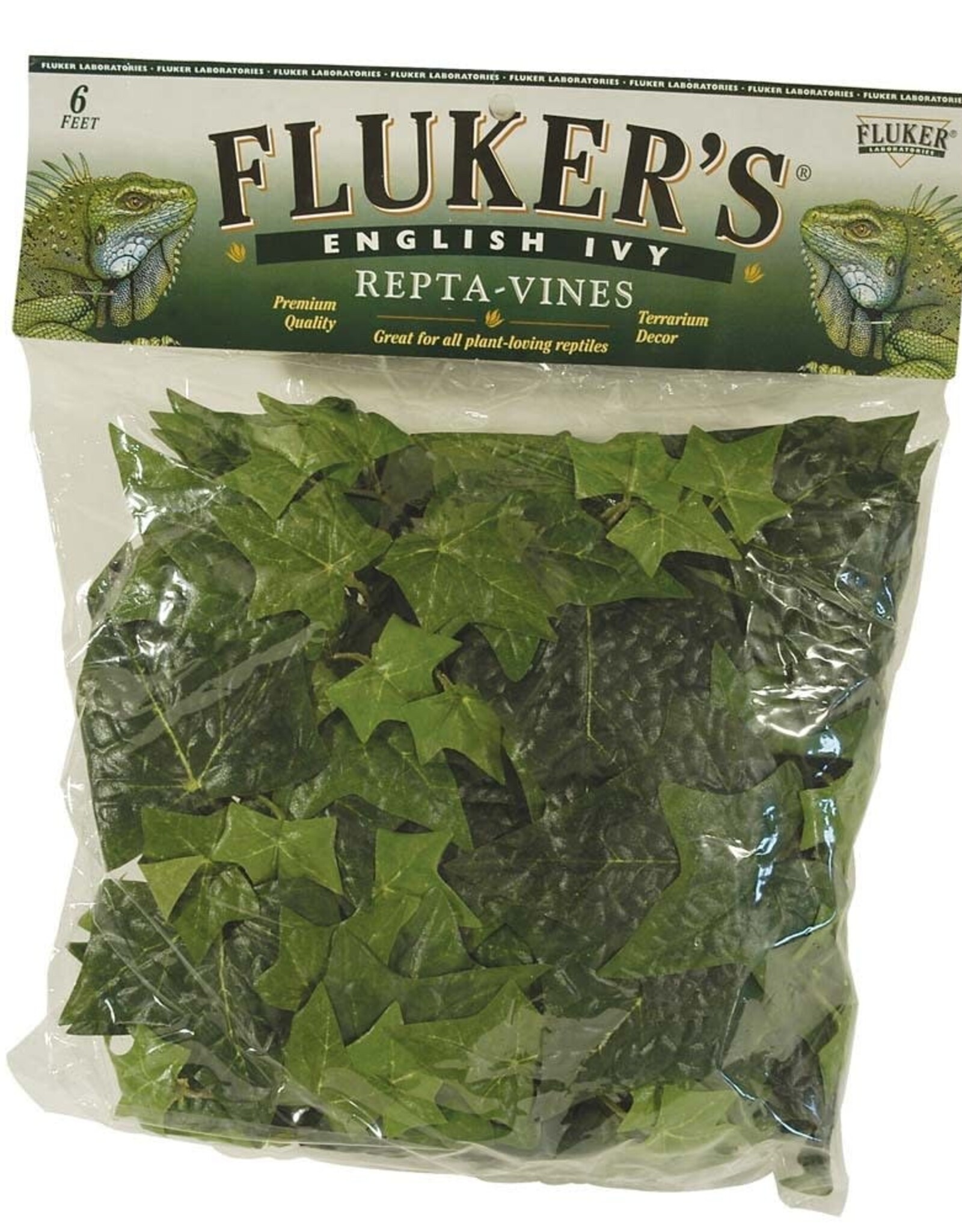 FLUKER'S Fluker's Repta-Vines English Ivy 6ft