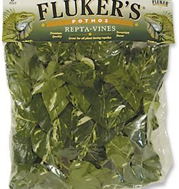 FLUKER LABS Fluker's Repta-Vines Pothos 6ft