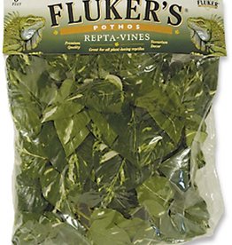 FLUKER'S Fluker's Repta-Vines Pothos 6ft