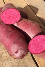 Seed Potato  per tenths of pound
