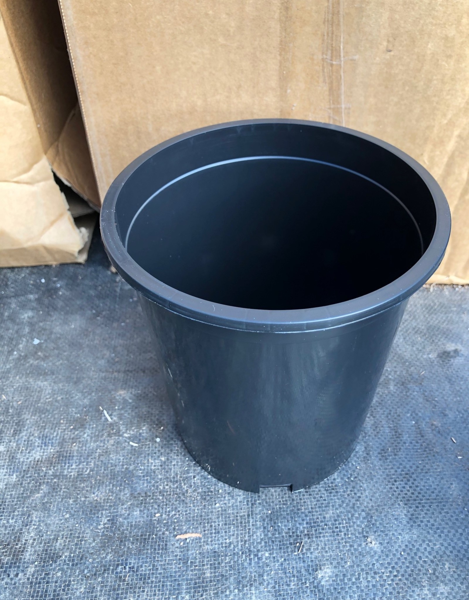 McConkey McConkey Round Nursery 1 gal pot TR1G Replaces Blow Mold 300