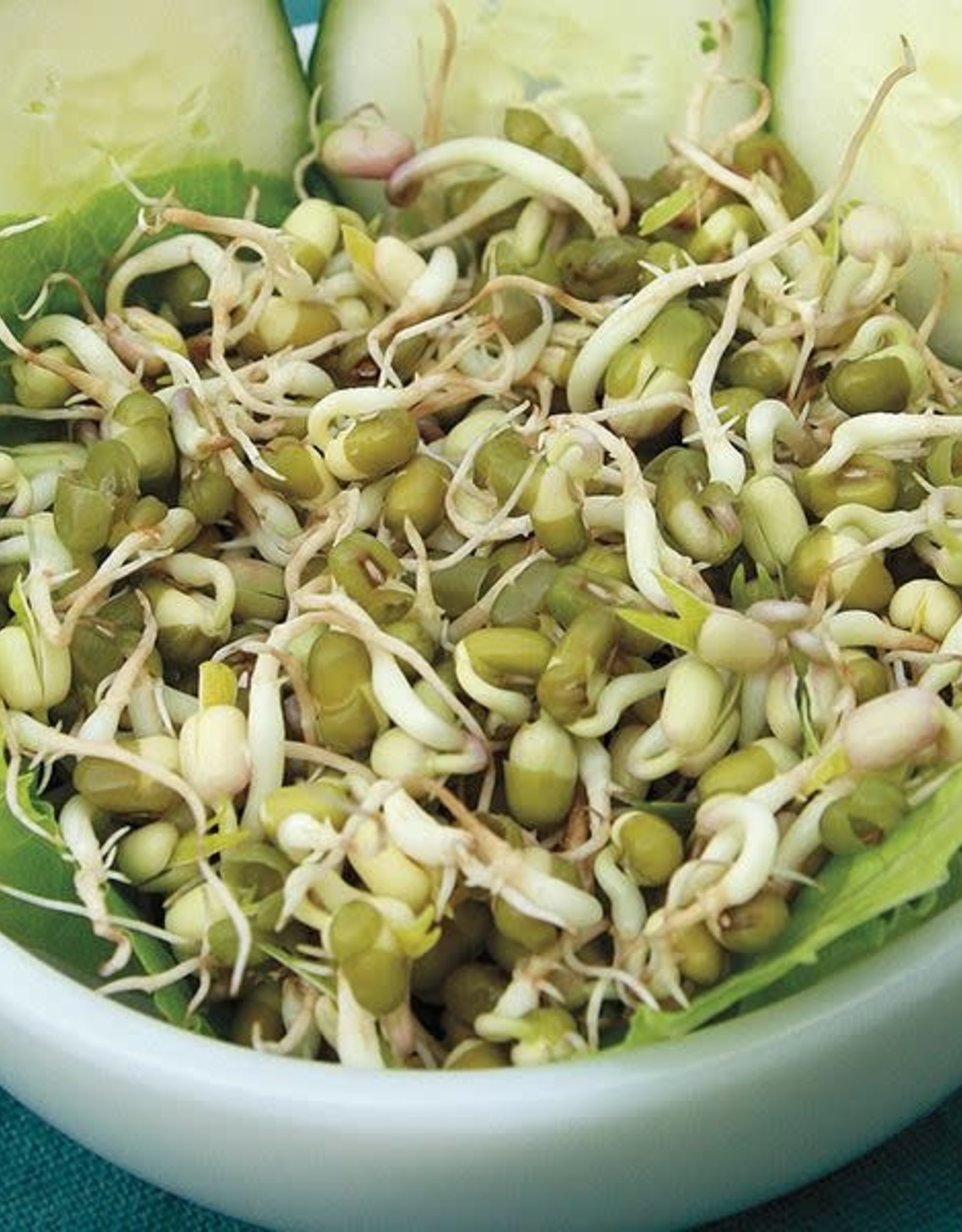 High Mowing Seed HM Mung Bean  Sprouting Seeds: 4 OZ