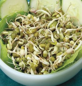 High Mowing Seed HM Mung Bean  Sprouting Seeds: 4 OZ