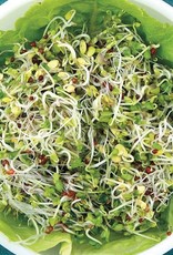 High Mowing Seed HM Broccoli Blend Sprouting: 3 OZ