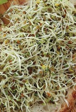 High Mowing Seed HM Sprouting Seeds  Alfalfa   3 OZ