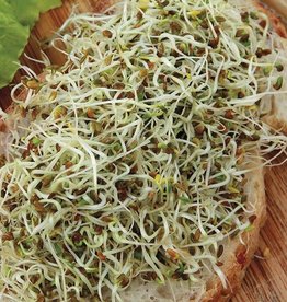 High Mowing Seed HM Sprouting Seeds  Alfalfa   3 OZ