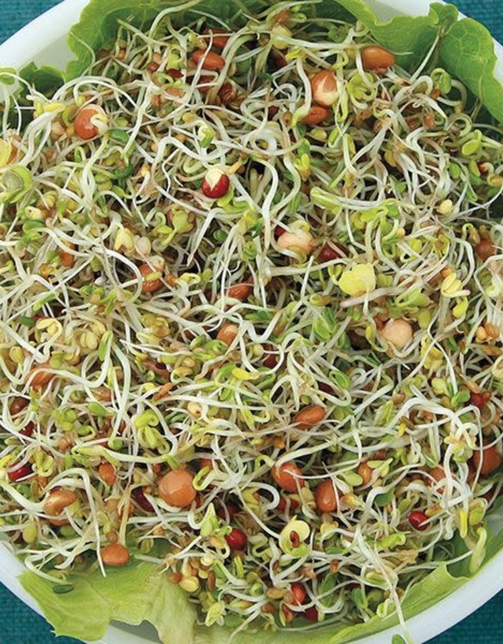 High Mowing Seed HM Sprouting Seeds Sandwich Booster Mix 3 oz