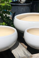 Succulent Bowl - White - 10.5"