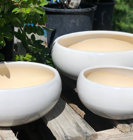 Succulent Bowl - White - 10.5"