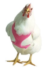 VALHOMA CORPORATION Chicken Harness Pink 13'-17'