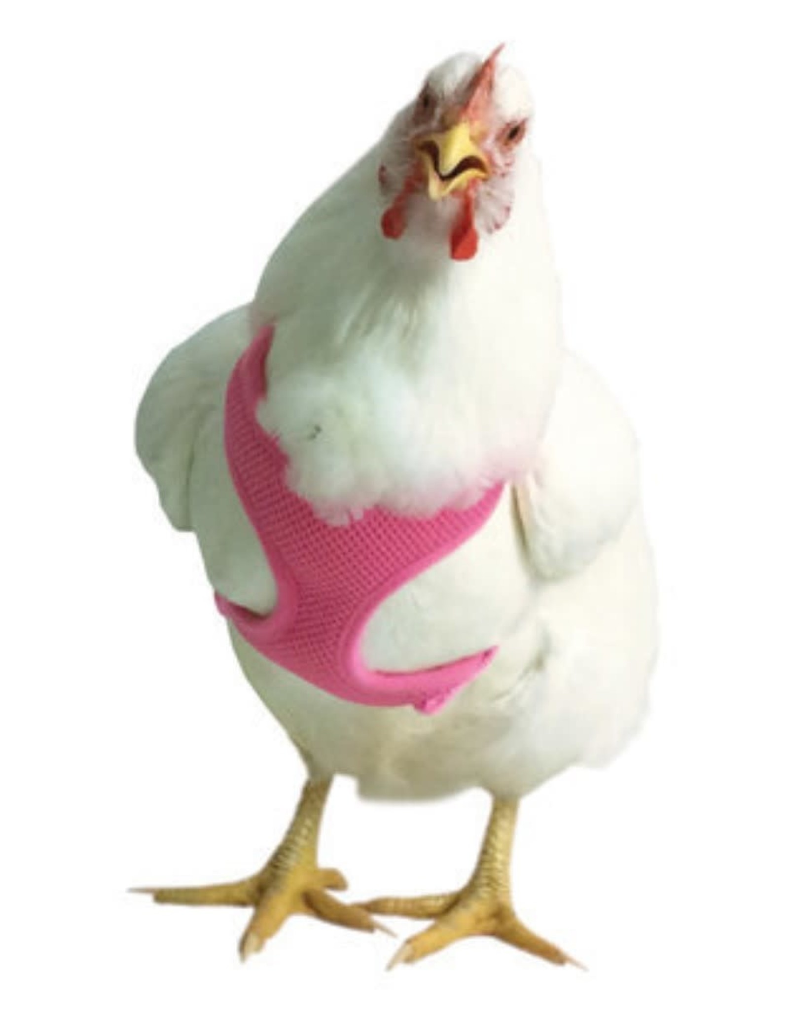 VALHOMA CORPORATION Chicken Harness Pink 13'-17'
