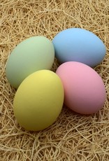 Clay Concepts CERAMIC CHICKEN EGG PASTEL CLAY Each price