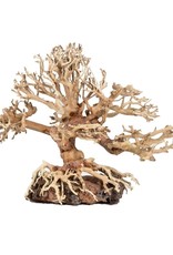 ZOO MED LABORATORIES Zoo Med Dragon Bonsai Tree Aquatic Ornament Small