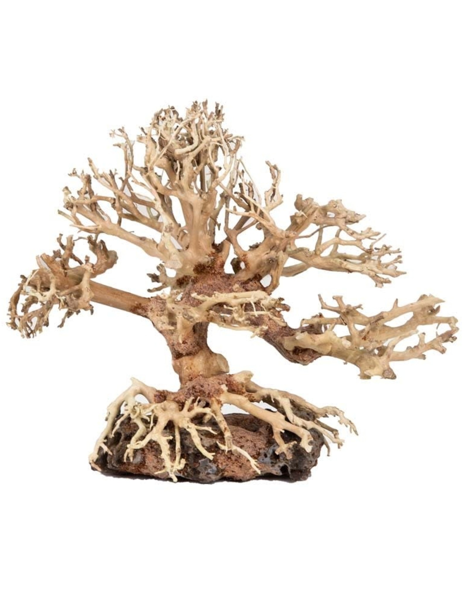 ZOO MED LABORATORIES Zoo Med Dragon Bonsai Tree Aquatic Ornament Small