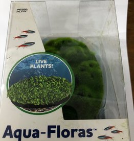Penn-Plax Aqua-Floras Moss Patch Grow