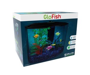 TET GloFish Aquarium Kit 5gal - Wagon Wheel