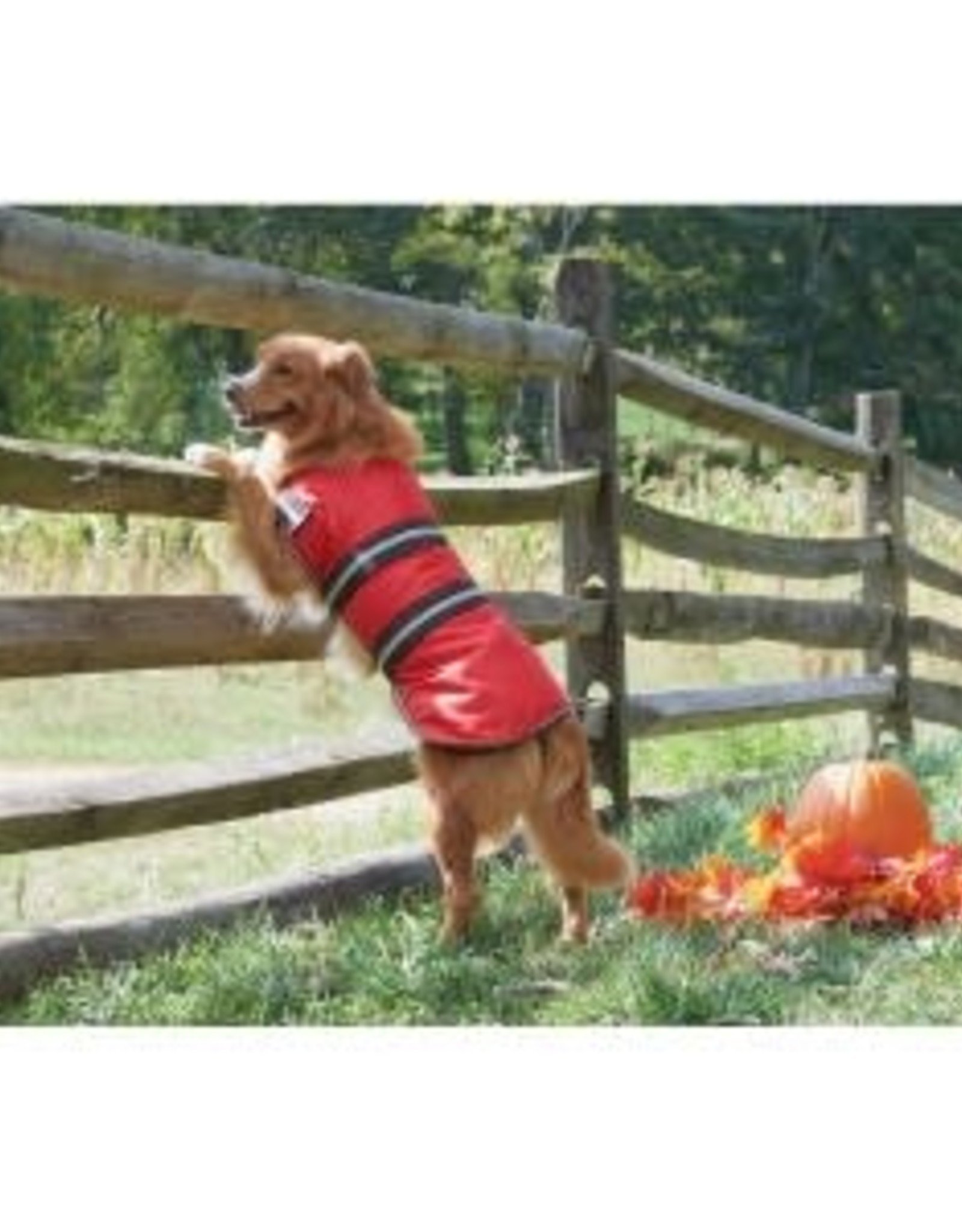 BLANKET COAT RED XSM 752423 ETHICAL