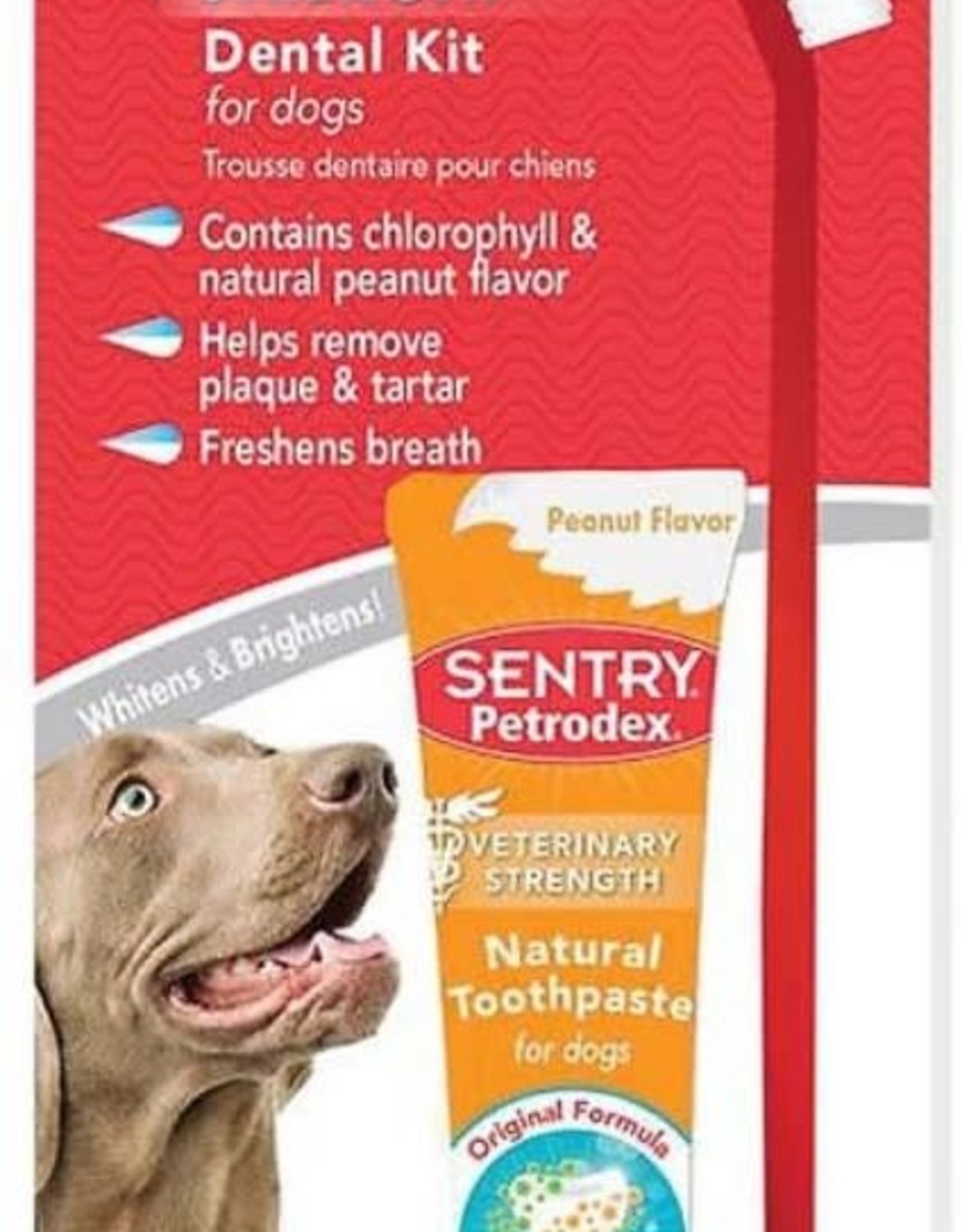 SERGEANTS PET CARE - VIRBAC Petrodex Sentry Natural Peanut Dental Kit For Dogs, 2.5-Ounce