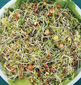 High Mowing Seed HM Spicy Salad Mix Sprouting: 4 OZ