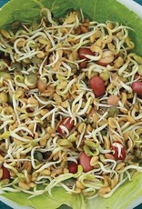 High Mowing Seed HM Ancient Eastern Sprouting: 4 OZ