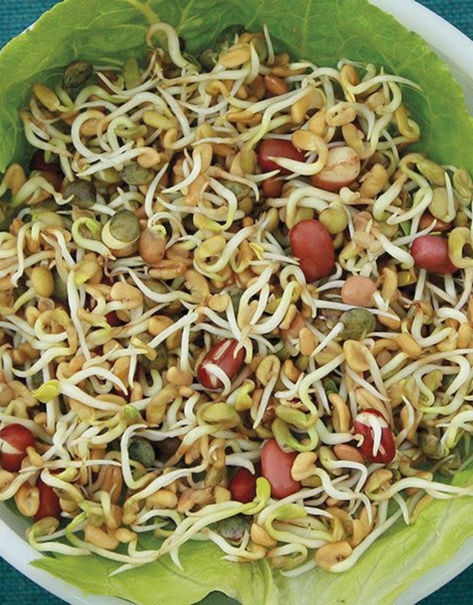 High Mowing Seed HM Ancient Eastern Sprouting: 4 OZ