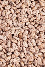 High Mowing Seed HM Quincy Pinto Dry Bean: 1 OZ Phaseolus vulgaris