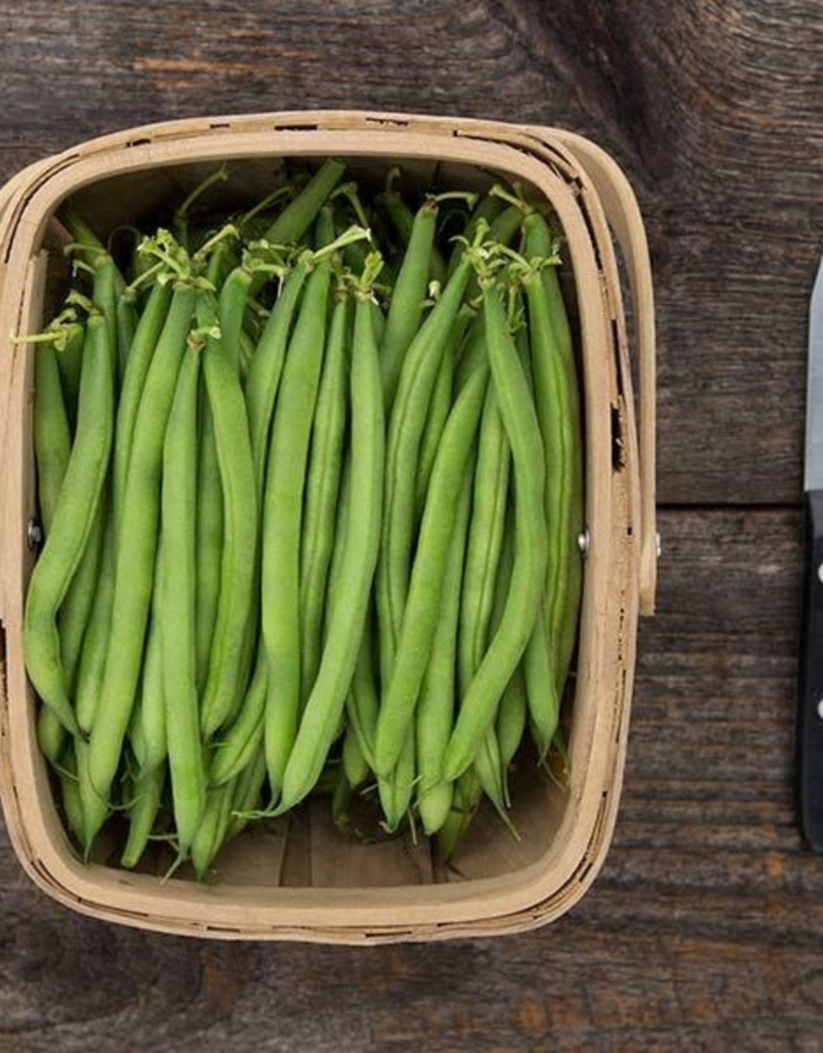 High Mowing Seed HM Antigua Bush Bean: 1 OZ