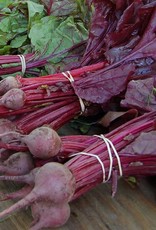 High Mowing Seed HM Bull's Blood Beet: 100 SEEDS