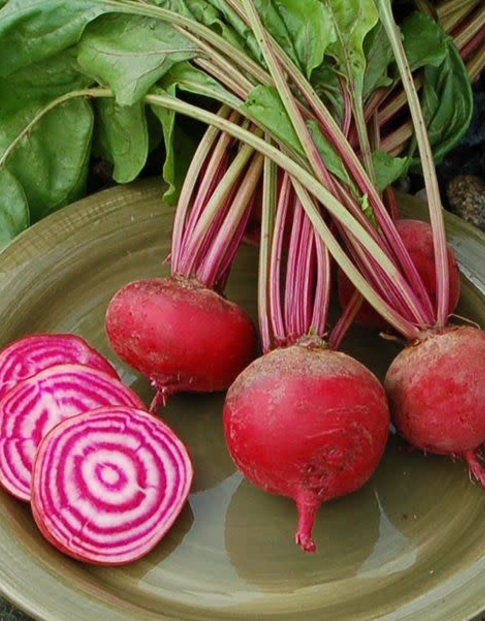 High Mowing Seed HM Guardsmark Chioggia Beet  100 SEEDS