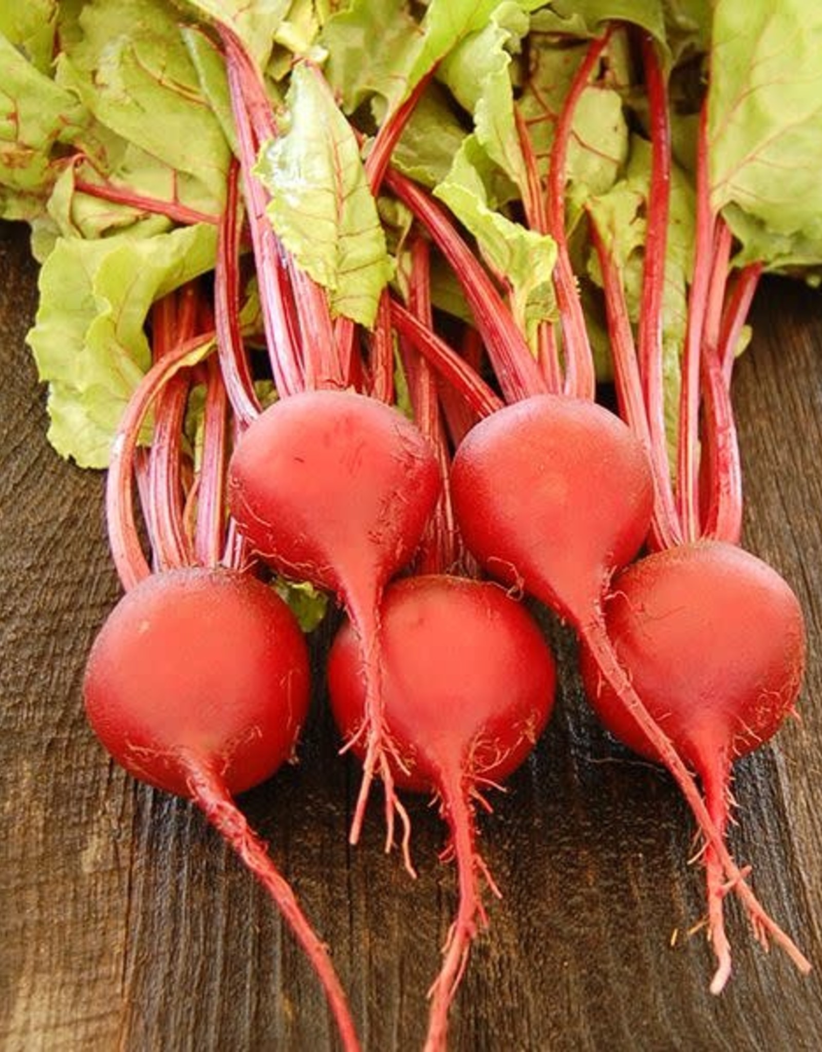 High Mowing Seed HM Early Wonder Tall Top Beet: 1/16 OZ